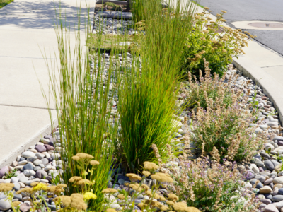 Can Daybreak Residents Save Water by ‘Flipping their Strip?'